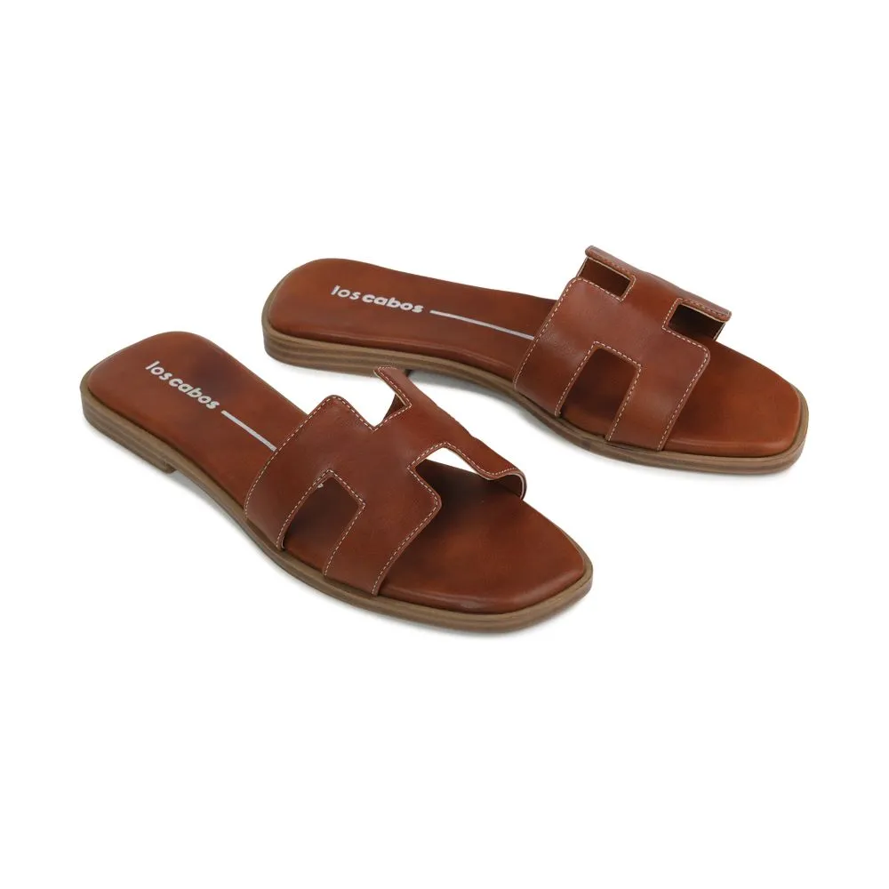HACETTE SLIDE