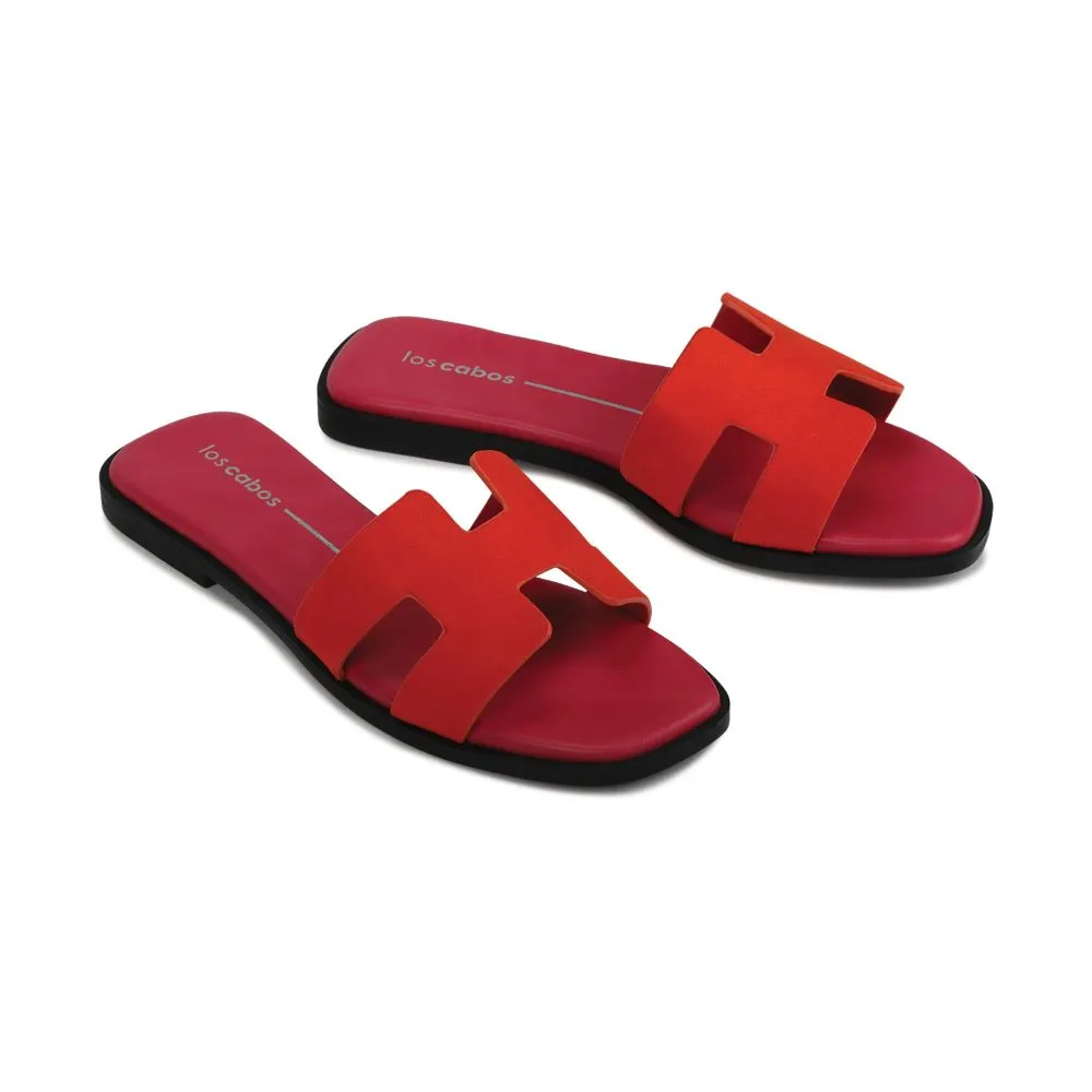 HACETTE SLIDE