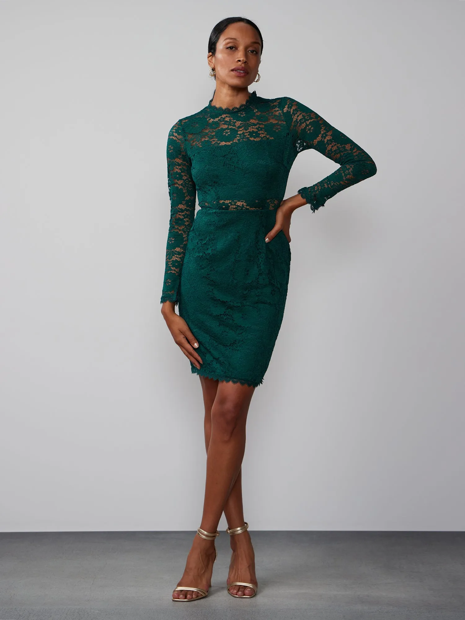 Long Sleeve Scallop Lace Sheath Dress