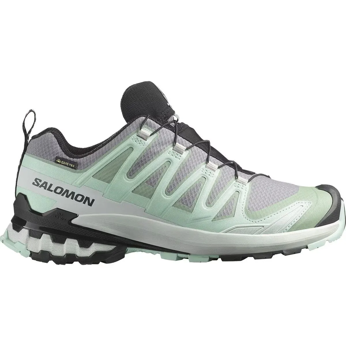 Salomon Women's XA Pro 3D V9 Gore-Tex Trail Running Shoes